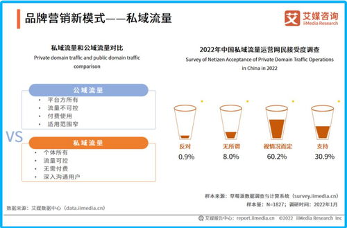 告别 大水漫灌式 广告,互联网大厂谁能高枕无忧